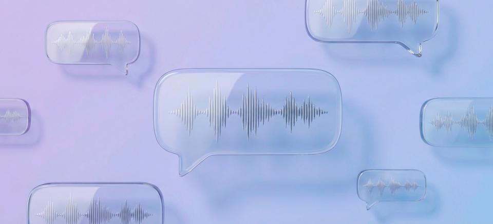 Войс в интернет-общении